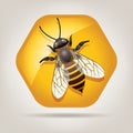 vector working bee on honeycell Royalty Free Stock Photo