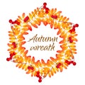 Vector wreath with autumn rowan leaves. Royalty Free Stock Photo
