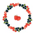 Vector wreath of blueberries with green leaves Royalty Free Stock Photo