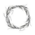 vector wreath of ears of wheat, hand drawn illustration with branches of wheat, agriculture theme, black and white Royalty Free Stock Photo