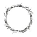 vector wreath of ears of wheat, hand drawn illustration with branches of wheat, agriculture theme, black and white Royalty Free Stock Photo