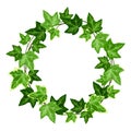 Vector wreath with green ivy leaves.