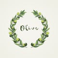 Vector wreath with olive branch.