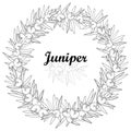 Vector wreath with outline Juniper or Juniperus communis. Berry and pine in black isolated on white background. Coniferous tree.