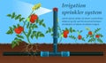 Vector is Written Irrigation Sprinkler System.