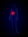 Vector x ray liver infographics. silhouette of a woman with a liver, liver disease medical illustration