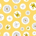 Vector yellow background white yellow lemony floral seamless pattern. Daisies, Lilies, Crocus. Seamless pattern