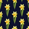 Vector Yellow daffodil flowers on dark background. Seamless floral pattern with narcissus flowers. Fashion style for prints, silk Royalty Free Stock Photo