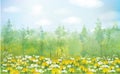 Vector yellow dandelions  and daisies  blossoming field. Spring nature background Royalty Free Stock Photo