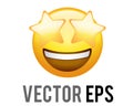 Vector yellow exciting laughing, smiling face flat icon with star eyes