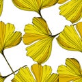 Vector. Yellow ginkgo leaf. Seamless background pattern. Fabric wallpaper print texture on white background. Royalty Free Stock Photo