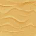 Vector yellow sand beach seamless texture. Abstract summer nature background. Desert dune realistic illustration