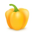 Vector yellow sweet bulgarian bell pepper, paprika isolated on white background Royalty Free Stock Photo