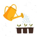 Vector yellow watering can isolated on a white background. Gardening tools. Seedlings are watered from a watering can. Royalty Free Stock Photo