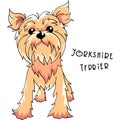 Vector Yorkshire terrier dog