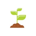 Vector young sprout in a pile of earth - concept of a new - isolated flat illustration.