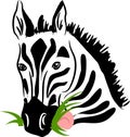 Vector zebra eating grass