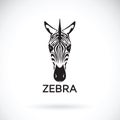 Vector of an zebra face on white background. Animals.