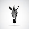 Vector Of An Zebra Face On White Background.