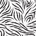 Vector zebra skin seamless pattern. Black and white zebra fur texture. Monochrome print for clothes or wrapping paper Royalty Free Stock Photo