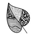 Vector zen tangle and doodle leaf. Nature coloring book. Black and white zentangle. Doodle handdrawn illustration.