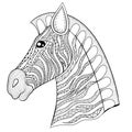 Vector zentangle Zebra Head illustration, Horse print for adult
