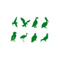 Vectorial collection of birds