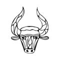 Vectorial illustration, head healthy ferocious bull on a white background Royalty Free Stock Photo