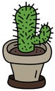 The cactus in a flowerpot