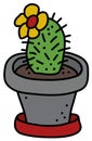 The cactus in the gray flowerpot