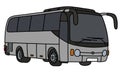 The gray touristic bus