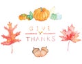 Vectorized hand painted watercolor of autumn leaves, acorns, squash, and the words give thanks.