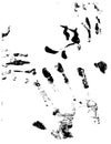 Vectorized Hand Prints and Smeers