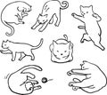 Cats in many adorable posses