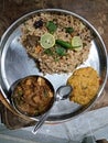 Veg fried rice ,dal with paneer Royalty Free Stock Photo