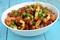 Veg Manchurian Royalty Free Stock Photo