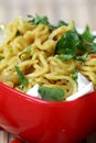Veg Noodles Royalty Free Stock Photo
