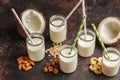 Vegan alternative nut milk in glass bottles on dark background. Royalty Free Stock Photo