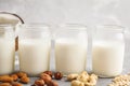 Vegan alternative nut milk in glass bottles on gray background. Royalty Free Stock Photo