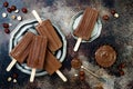 Vegan banana chocolate fudge popsicles with homemade hazelnut spread. Creamy dairy free ice pops, nicecream, fudgesicles. Royalty Free Stock Photo