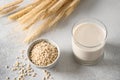 Vegan cereal Barley milk, plant based milk replacer. Royalty Free Stock Photo