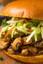 Vegan BBQ Pulled Mushroom Sandwich Royalty Free Stock Photo
