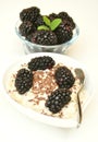 Vegan breakfast with oatmeal porridge and blackberries