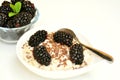 Vegan breakfast with oatmeal porridge and fresh fruit Royalty Free Stock Photo