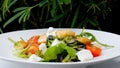 Vegan Caesar salad with romaine lettuce, non dairy cheese, and tomatoes