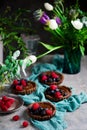 Vegan chocolate tartlets with avocado chocolate pudding.style  vintage Royalty Free Stock Photo