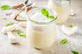 Vegan coconut panna cotta dessert in glass jar Royalty Free Stock Photo
