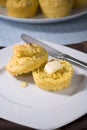 Vegan Corn Muffins