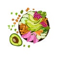 Vegan detox Buddha bowl with chickpeas, avocado, radishes, carrots, herbs and sesame.Vector food illustration top view.