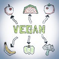 Vegan doodle flow chart diagram. Hand drawn vegetables. Design for healthy food, business, banners, brochures, ecology concept